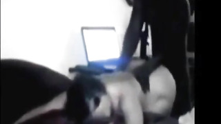 PLUMPER Penetrating Her Black Bull on Cam