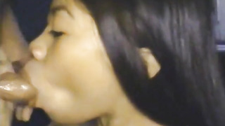 Chinese Fledgling Bj 0071