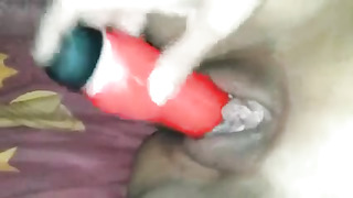 Arab Turgid Succulent Vag